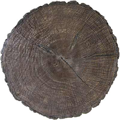 an image of a GFRC concrete top molded as a wood stump